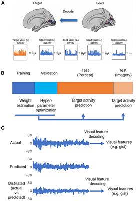 Distillation of Regional Activity Reveals Hidden Content of Neural Information in Visual Processing